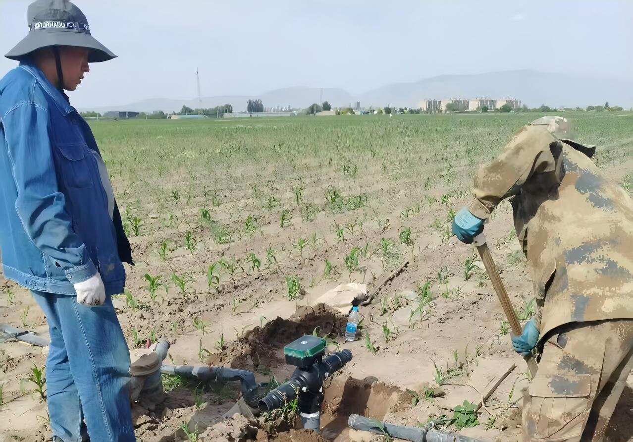甘州区新墩镇：全力抗旱保灌 筑牢农业生产“生命线”(图2)
