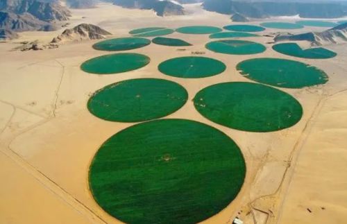 香港中农国际集团“沙漠绿洲农业计划”探索干旱地区可持续种植(图1)