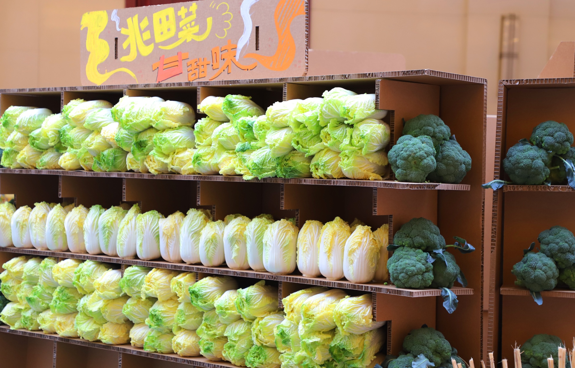 甘肃张掖甘州区：有机新消费引领农业新生态(图5)