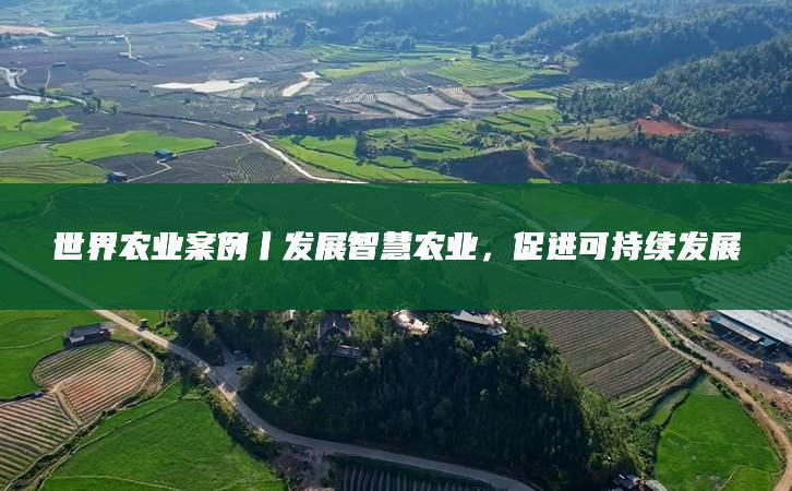 神农集团举办“2024农业可持续发展报告”发布会(图1)