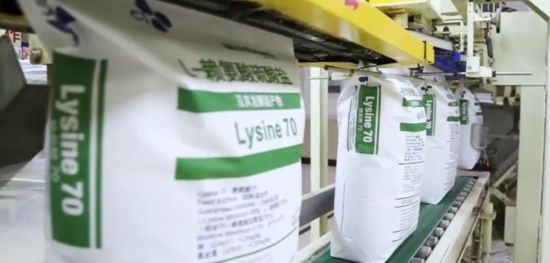 這家世界500強緣何在聊城“十連投”(图2)