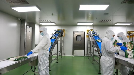 這家世界500強緣何在聊城“十連投”