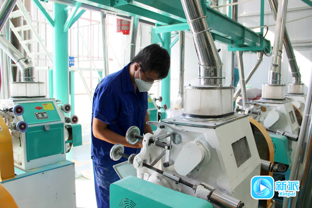 潍坊坊子区：打造生态农业绿色发展新路径(图2)