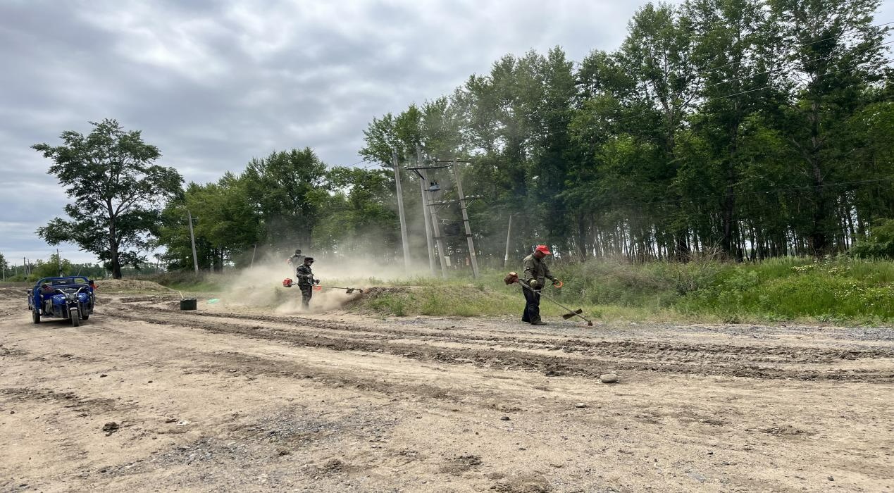 聚焦北大荒新华分公司：开展“五边”治理提高农业标准化水平