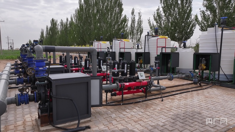 乡村振兴看内蒙古丨“农业新质生产力”激活“绿色经济”双引擎(图2)