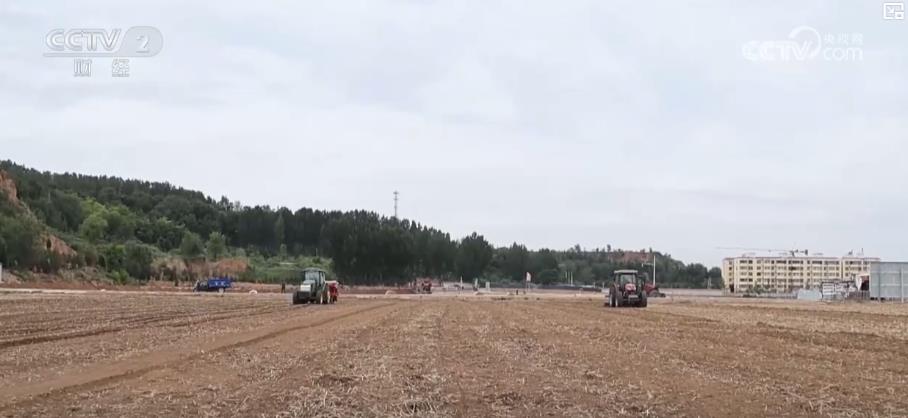 全国夏种进度条持续刷新：多地抢抓农时 筑牢粮食丰收基础(图2)