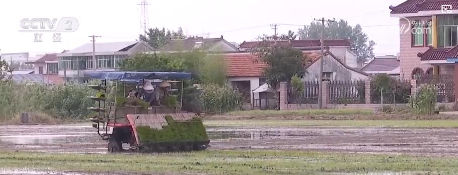 全国夏种进度条持续刷新：多地抢抓农时 筑牢粮食丰收基础(图4)