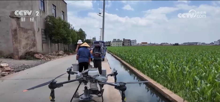 鱼满塘、粮满仓 智慧农业领跑“三夏” 绘就希望的田野好“丰”光(图2)