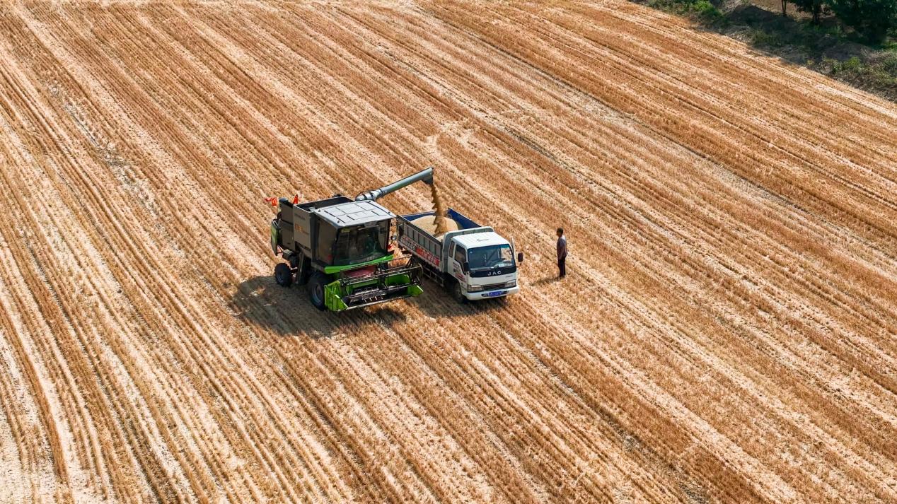 京博：科技创新驱动黄河流域农业现代化实践