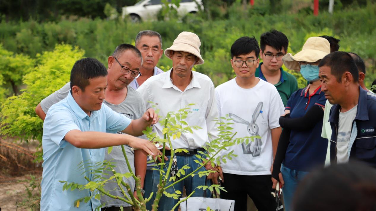 京博：科技创新驱动黄河流域农业现代化实践(图4)