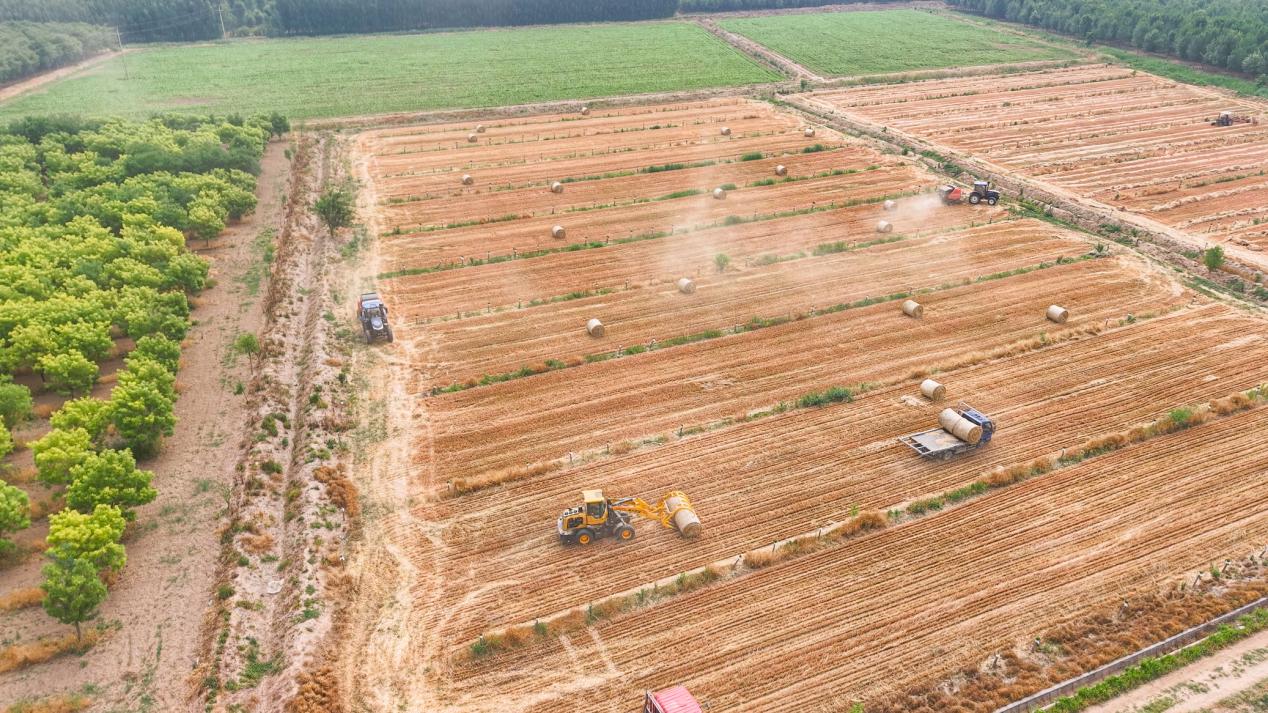 京博：科技创新驱动黄河流域农业现代化实践(图2)