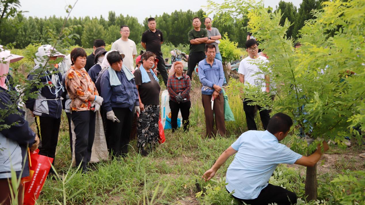 京博：科技创新驱动黄河流域农业现代化实践(图5)