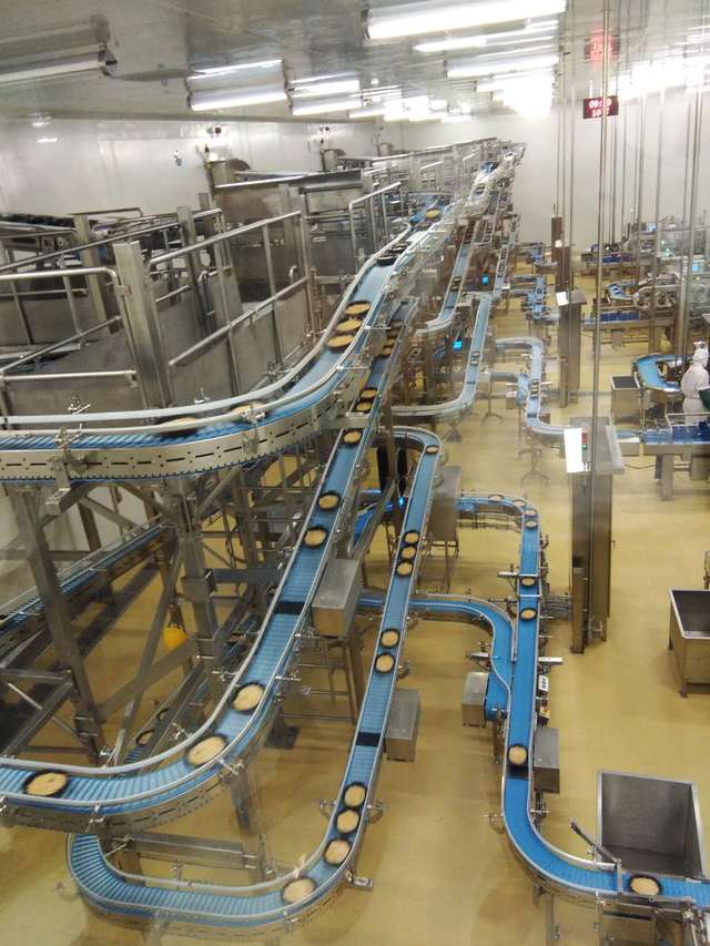 妙可蓝多食品科技股份有限公司发布新版内审管理办法强化风险防控与合规管理(图1)