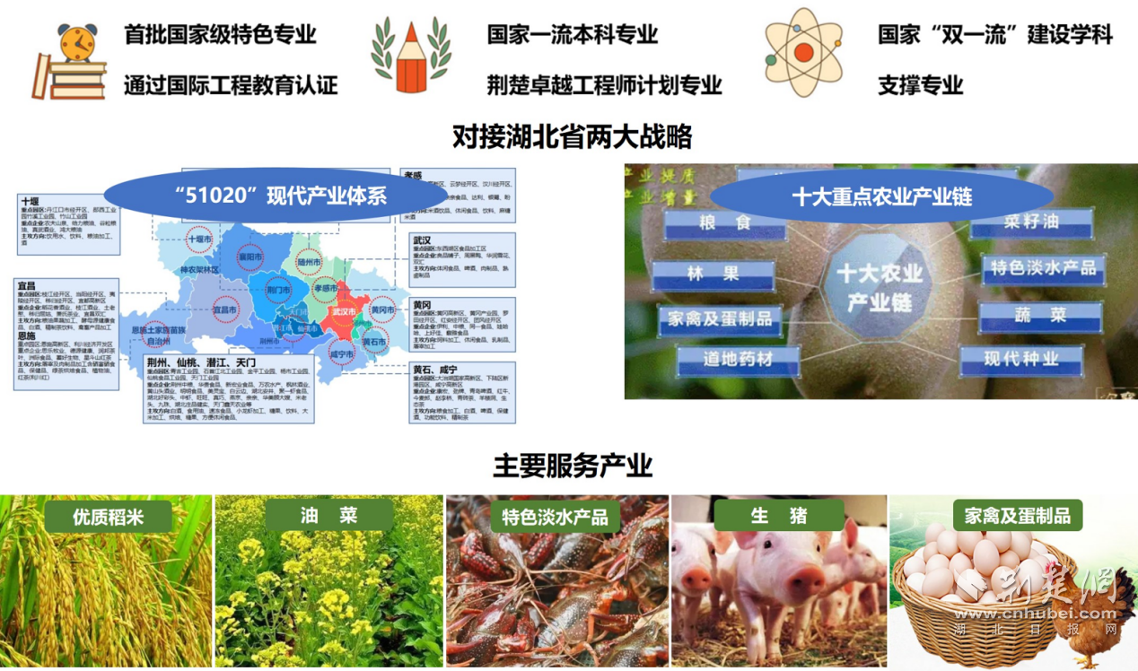 食光筑梦 工创未来 “从田间到舌尖” 解码食品科学与工程专业“硬核实力”(图4)