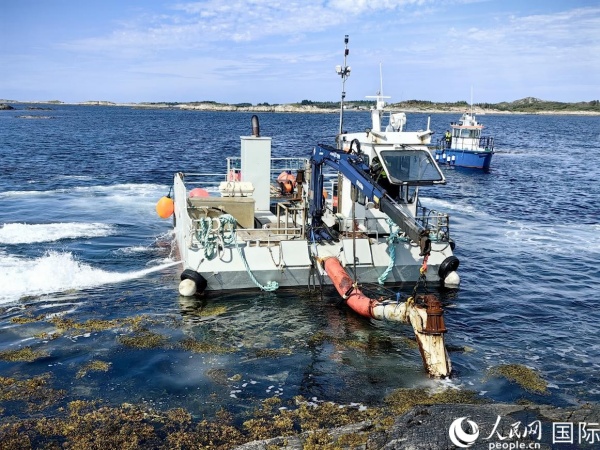 生物科技助力中国农业绿色转型