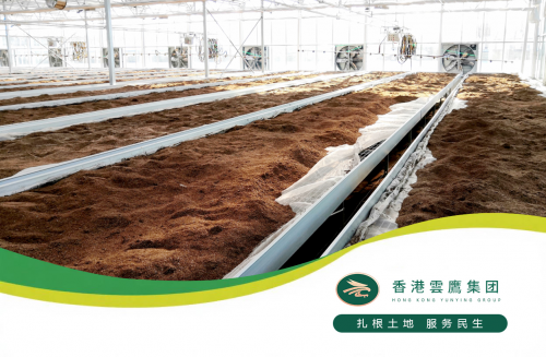 政策赋能科技种田：云盈农业以全产业链创新助力农业强国建设(图2)