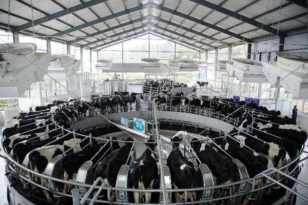 “农转盈”点亮农业绿色金融新路径—— 绵阳市商业银行金融活水精准滴灌绵阳龙头乳业企业低碳转型