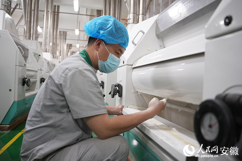 安徽向前︱亳州渦陽：綠色食品有“引”力(图2)