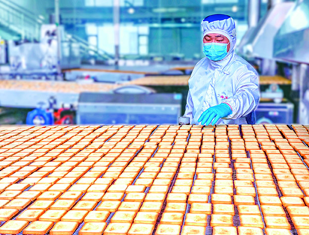 探访黄土地上的“小巨人”