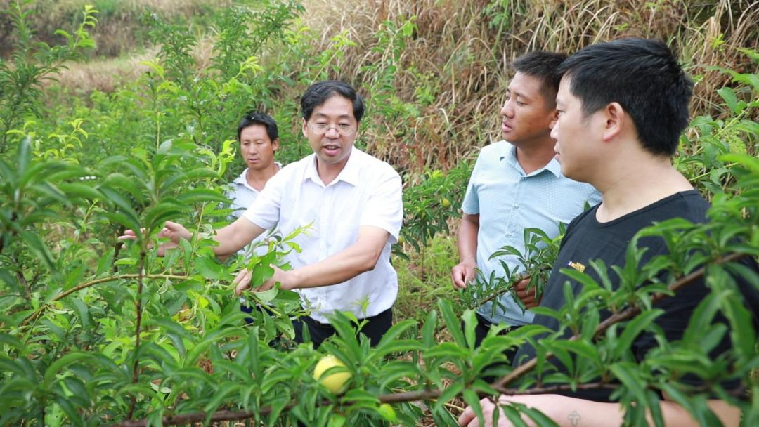 把课堂和实验室建在青山绿水间(图2)