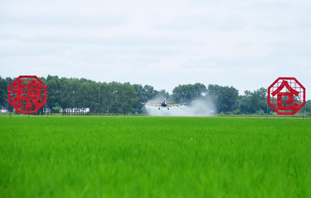 应对持续高温天气 各地多举措稳生产保民生(图3)