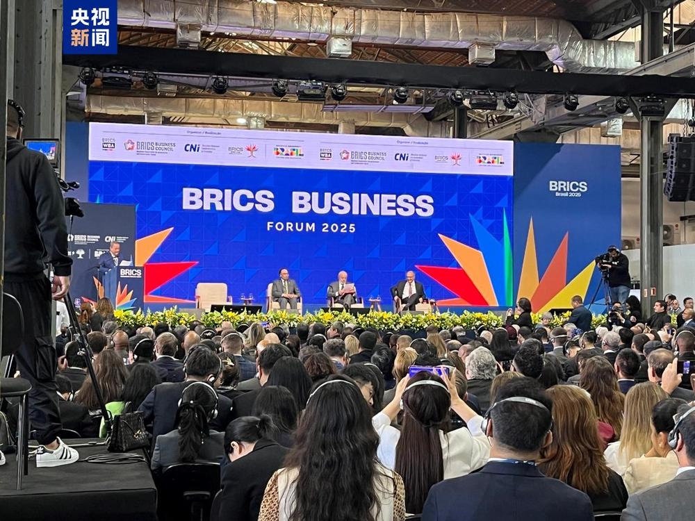拉美观察丨“大金砖”汇聚“南方力量” 助推包容性全球化(图3)