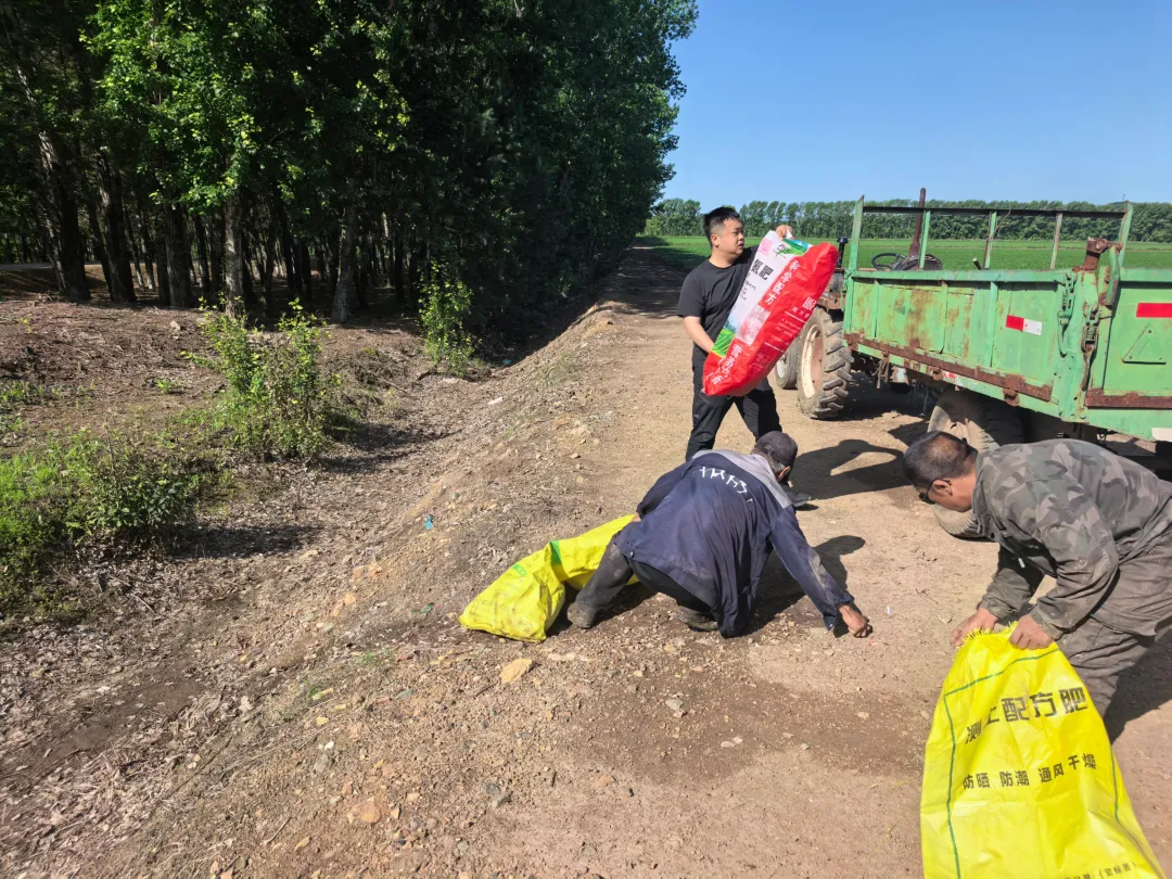 聚焦北大荒八五九分公司：黑土保护助力农业绿色可持续发展