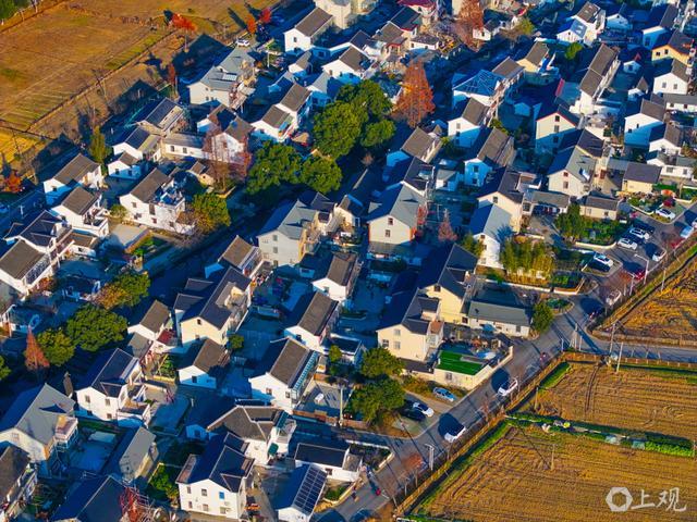 都市农业新突破四维理论发布