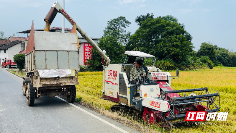 湖南省资兴市回龙山供销合作社入选全国典型案例