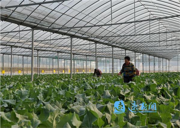 锲而不舍落实中央八项规定精神丨正本清源推动作风建设持续深化