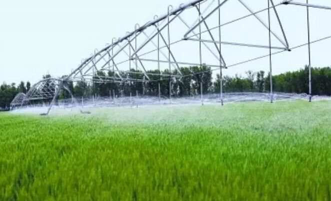 墨西哥有机作物种植面积增长112%：新趋势揭示可持续农业潜力