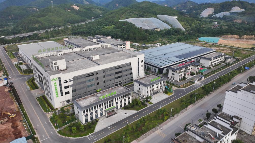 沿着东江走出深山老区农业如何撬开湾区市场？