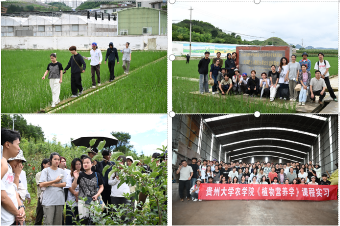 泰国兰实大学学子在贵州大学研学纪实(图4)