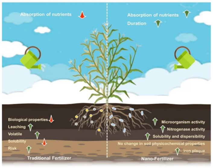 Nanomaterials 中国农业大学唐玉莹等团队——纳米农药与纳米肥料：全球粮食安全的可持续解决方案(图2)