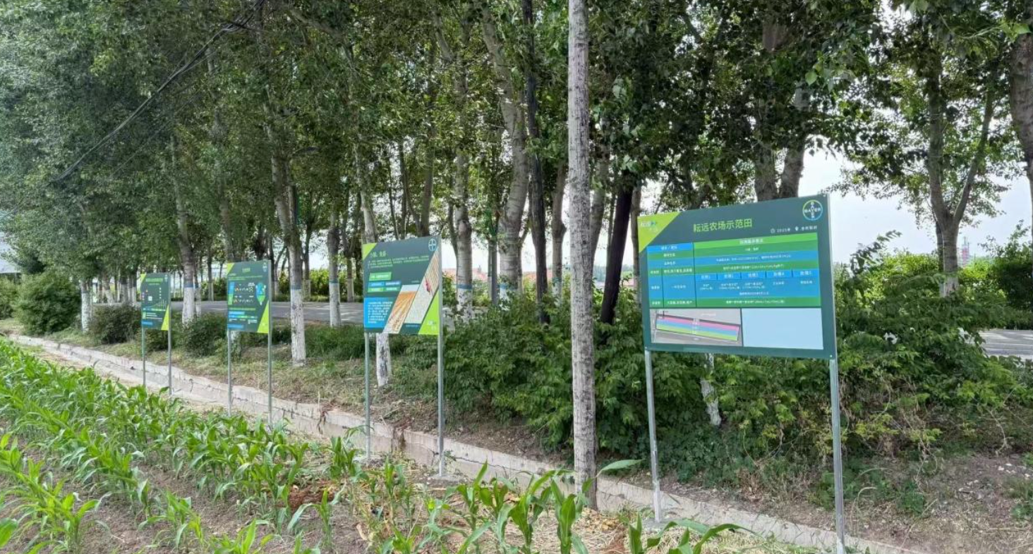 加与减之间：一场产业链可持续变革的接力(图3)