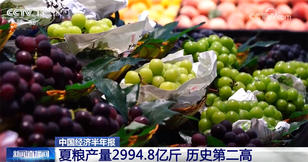 夏粮产量创新高 农村改革持续深化——上半年农业农村经济运行亮点透视(图3)