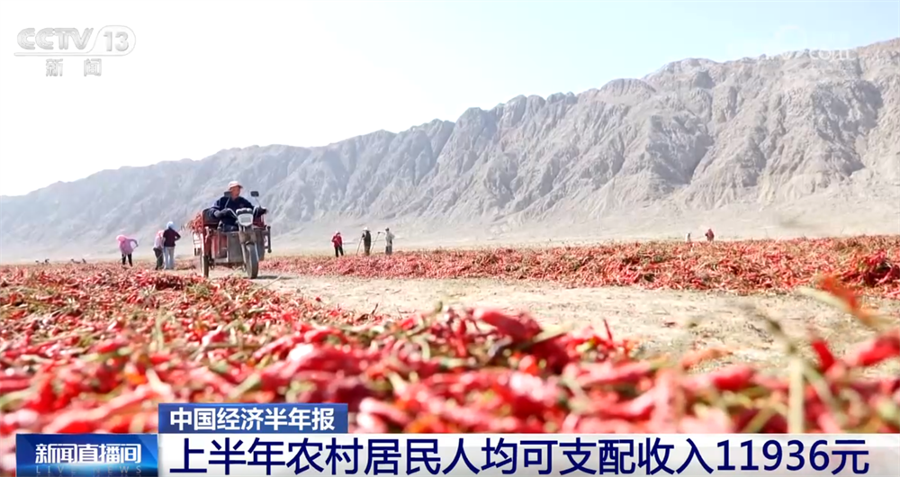 夏粮产量创新高 农村改革持续深化——上半年农业农村经济运行亮点透视(图5)