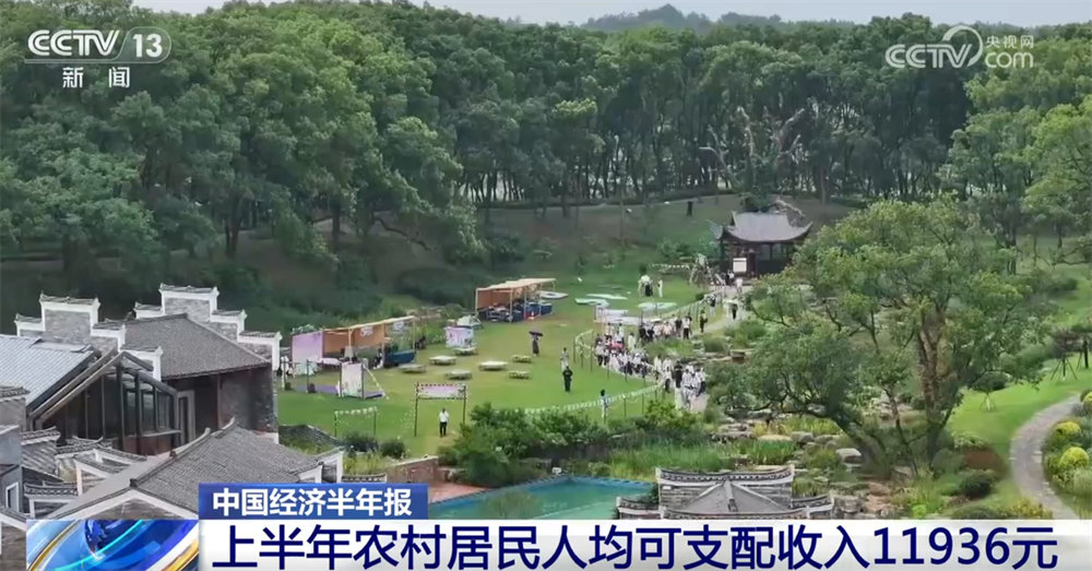 夏粮产量创新高 农村改革持续深化——上半年农业农村经济运行亮点透视(图4)