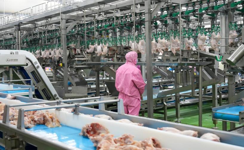 山东力欧食品科技有限公司成立注册资本300万人民币