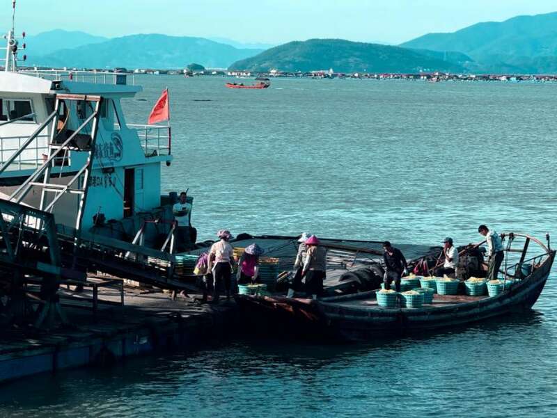 集美大学海洋食品与生物工程学院学子赴多地开展暑期社会实践活动