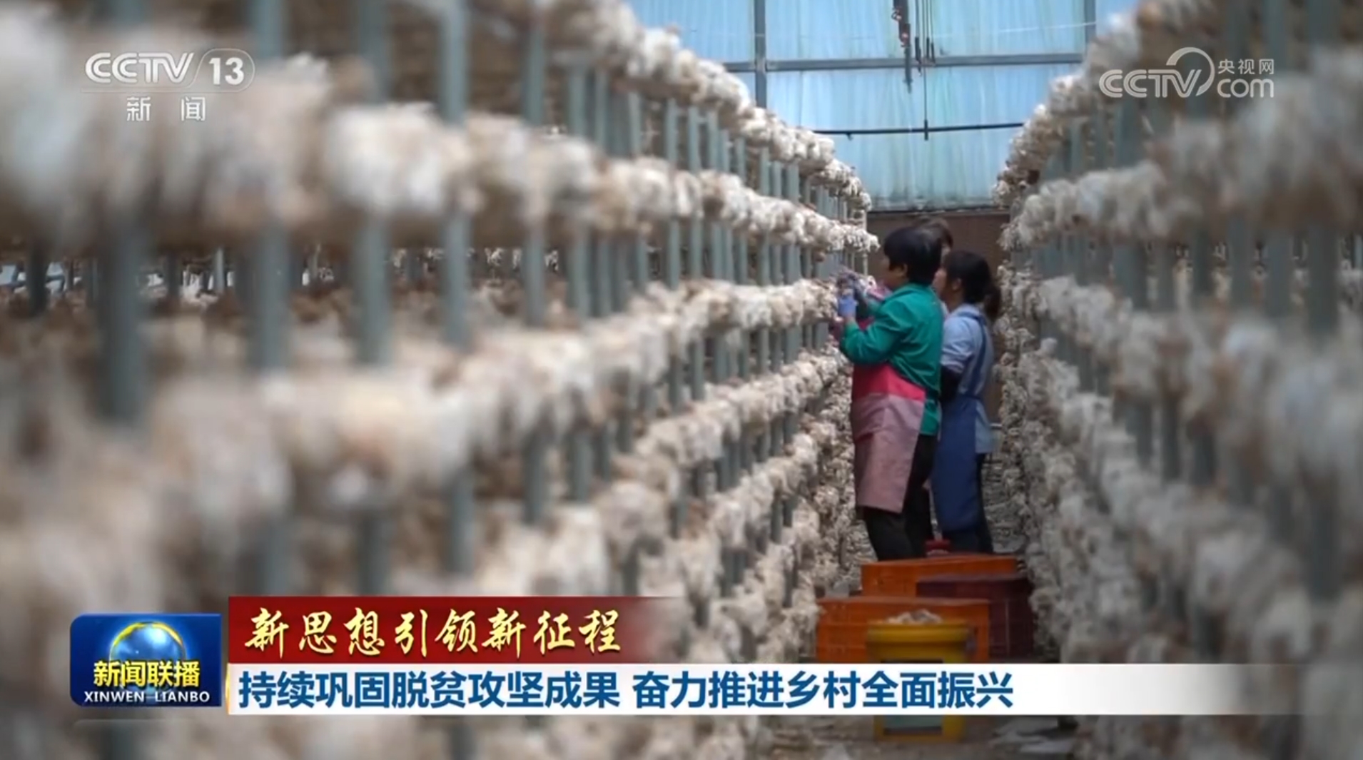 【新思想引领新征程】持续巩固脱贫攻坚成果 奋力推进乡村全面振兴