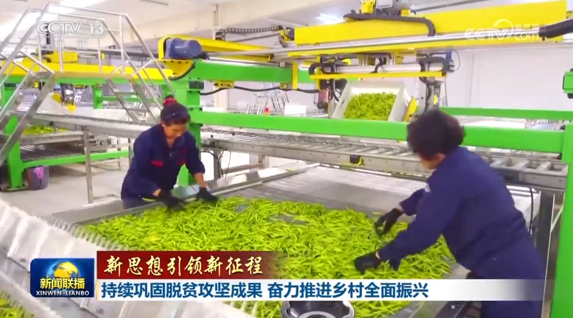 【新思想引领新征程】持续巩固脱贫攻坚成果 奋力推进乡村全面振兴(图3)