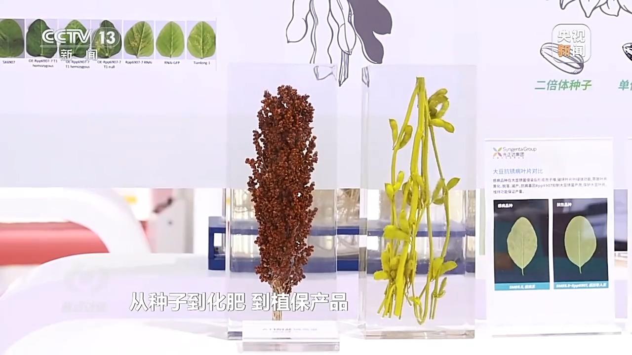 焦点访谈丨本届链博会新意满满 超高“含新量”折射出哪些趋势？(图6)