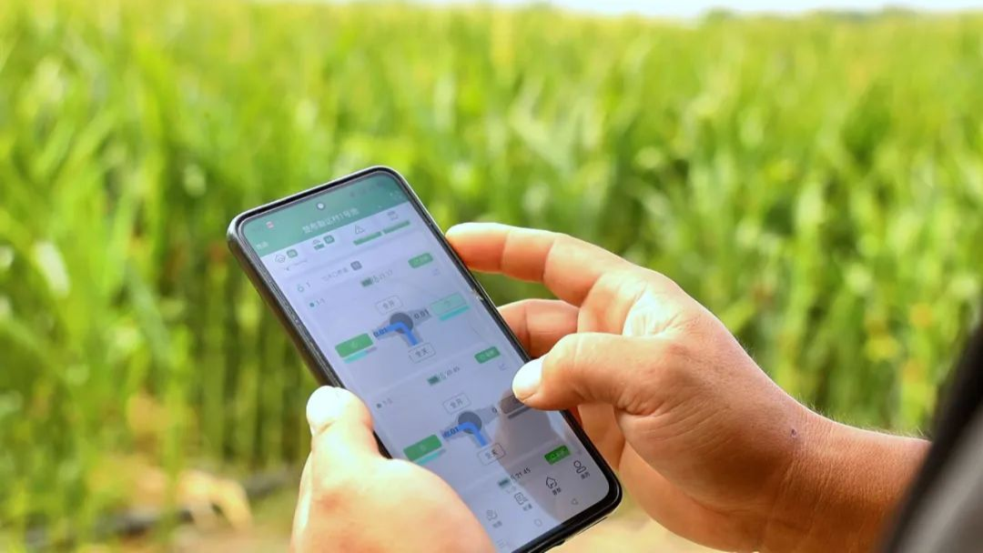 卫星种地、数据耕田？博州万亩良田玩转“智慧农业”(图3)