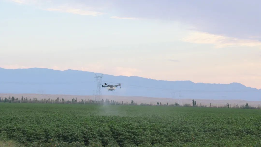 卫星种地、数据耕田？博州万亩良田玩转“智慧农业”