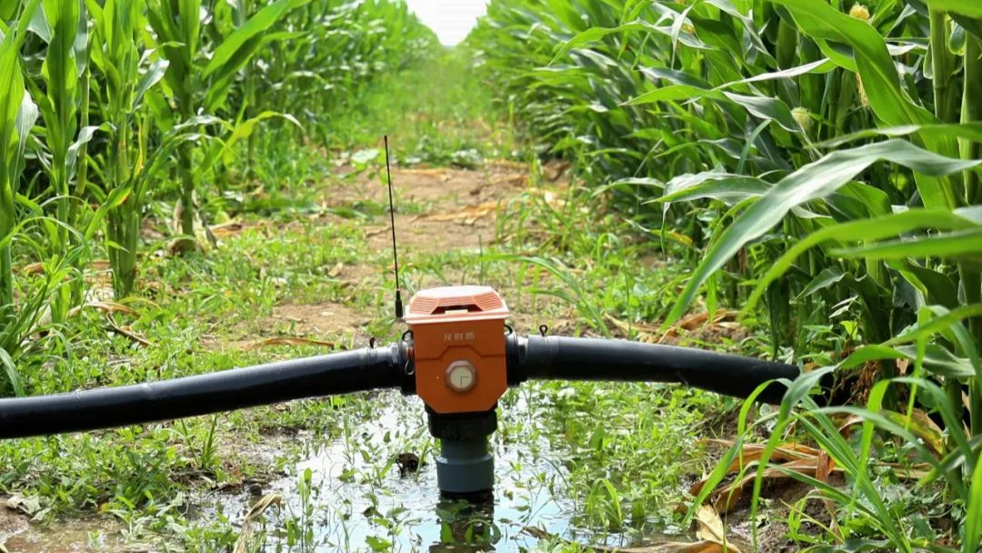 卫星种地、数据耕田？博州万亩良田玩转“智慧农业”(图4)