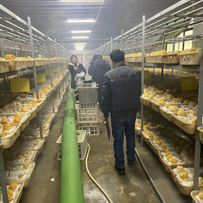 四川芝皇农业：人才驱动科技赋能可持续发展