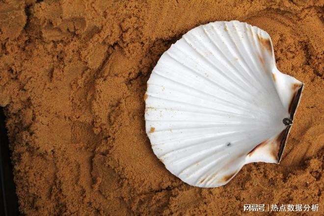 饮食的未来：从餐桌到可持续生态
