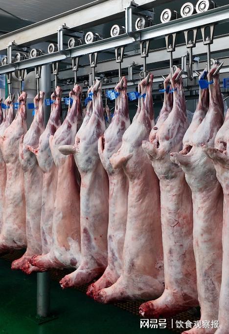 “寻滩鲜滩羊”：让科学养殖扎根大地让可持续发展照亮滩羊产业(图2)