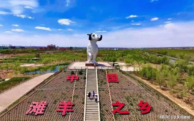 “寻滩鲜滩羊”：让科学养殖扎根大地让可持续发展照亮滩羊产业